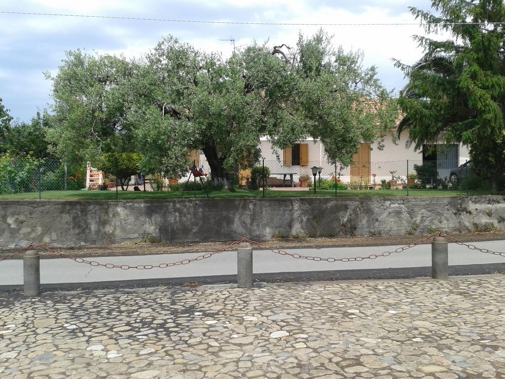 Villa Etna Piedimonte Etneo Εξωτερικό φωτογραφία